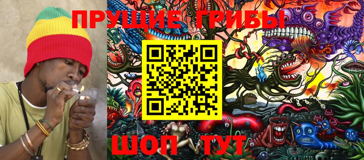 Псилоцибиновые грибы Cubensis Тейково