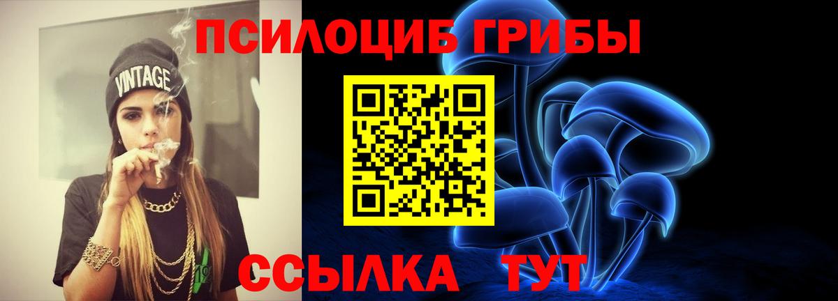 Тейково  Псилоцибиновые грибы MAGIC MUSHROOMS  Вход с VPN 