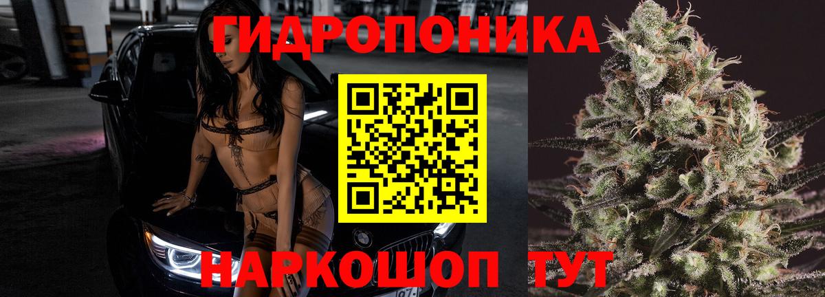Шишки марихуана Ganja  МАРИХУАНА VHQ  Тейково  Каннабис гибрид  Вход с VPN 